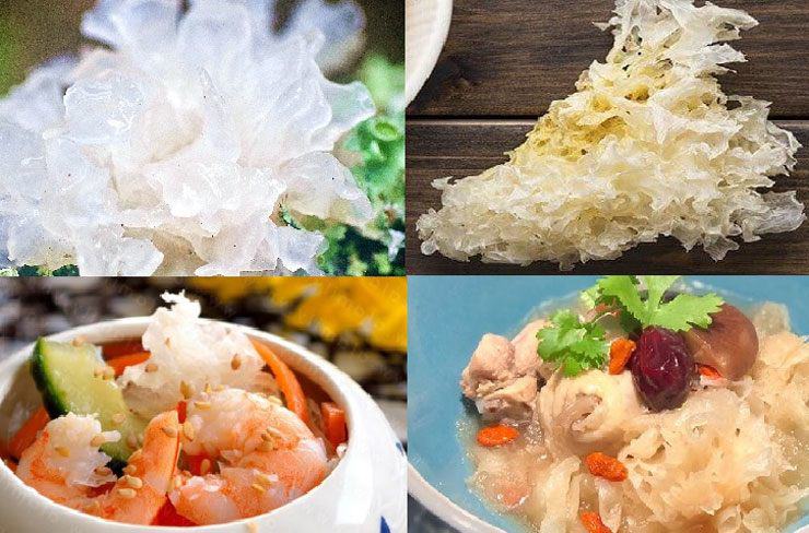 Thứ ký sinh trên gỗ được ví như "tổ yến của người nghèo", dưỡng nhan cực tốt - 6