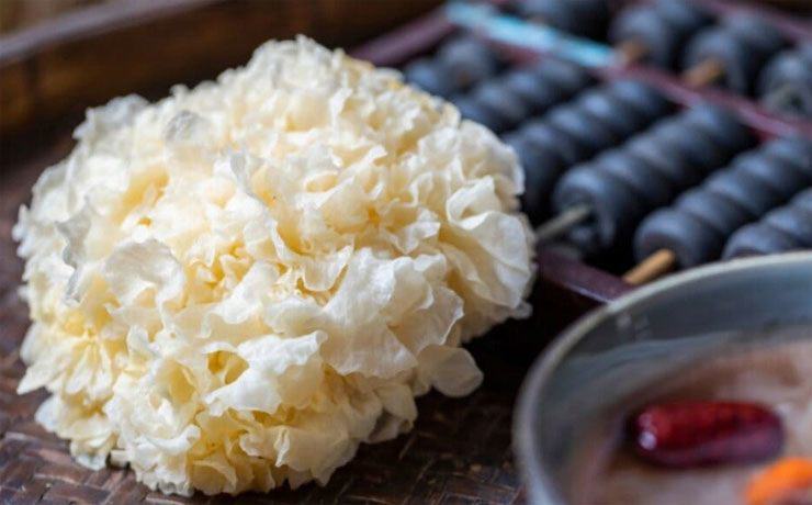Thứ ký sinh trên gỗ được ví như "tổ yến của người nghèo", dưỡng nhan cực tốt - 7