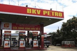 Thị trường - Tiêu dùng - Thêm 'ông trùm' xăng dầu bị dừng thủ tục xuất nhập khẩu