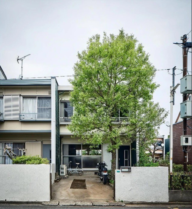 Ngôi nhà của cặp vợ chồng kiến trúc sư là anh Tian Sen và vợ tọa lạc tại một tòa nhà cổ ở ngoại ô Tokyo với chất liệu chủ đạo là gỗ tự nhiên, mộc mạc mà đẳng cấp. Trước sân có cây cao toả bóng mát
