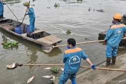 300 tấn cá chết nổi trắng sông: Chủ tịch UBND tỉnh Hải Dương yêu cầu rà soát nguồn thải