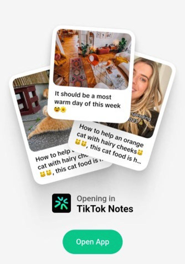 Lộ diện danh tính ứng dụng TikTok sắp ra mắt để hạ bệ Instagram - 1