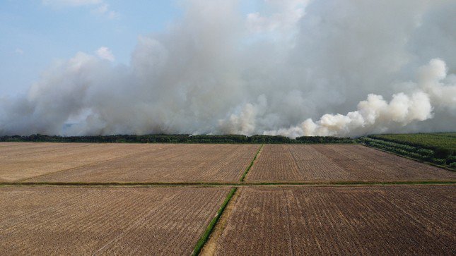 Vụ cháy gây thiệt hại khoảng 40ha rừng sản xuất và đang có nguy cơ cháy lan sang khu vực 100ha, nơi có 20 hộ dân đang sinh sống.
