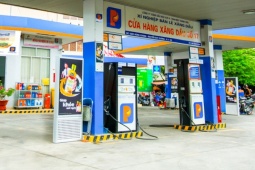 Kinh doanh - Ăn nên làm ra, nhà bán lẻ xăng dầu lớn nhất Việt Nam tăng số tiền cổ tức