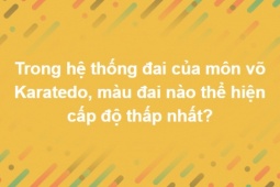 Cứ ngỡ sẽ hỏi nhanh đáp lẹ, đến cuối mới biết bộ câu hỏi này không hề đơn giản