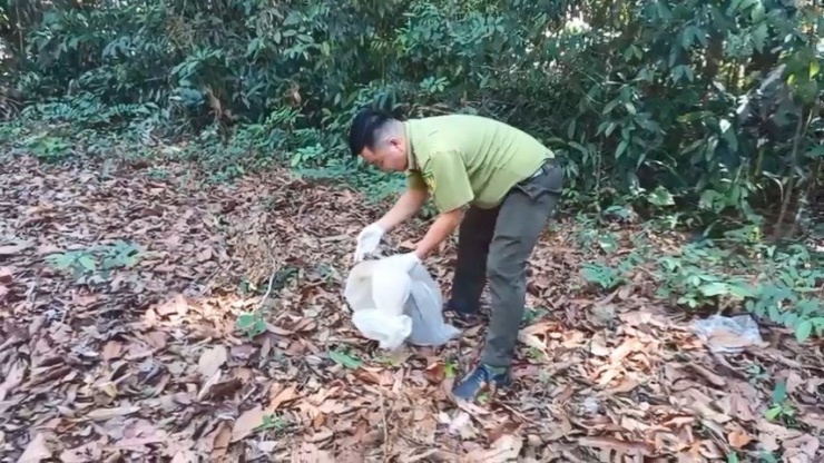 Trong ngày 11-4, cơ quan chức năng đã thả 27 động vật hoang dã về Vườn quốc gia Cát Tiên. Ảnh: HT