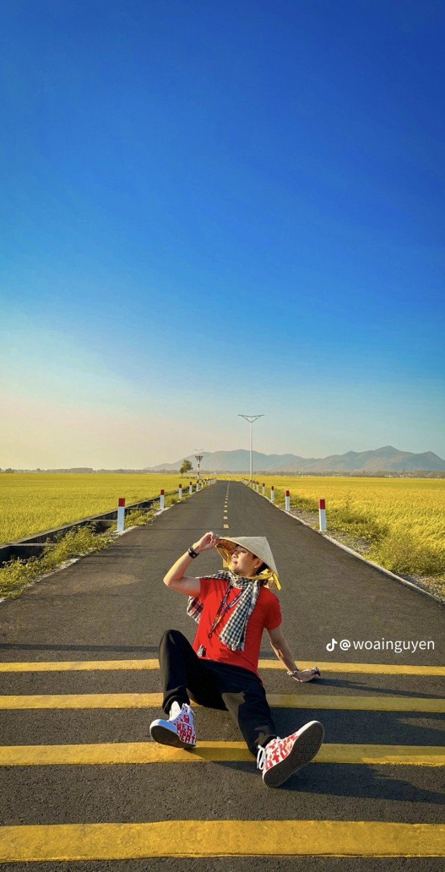 Theo chân các netizen, check-in ngay cánh đồng mùa lúa chín. (Ảnh: @woainguyen)