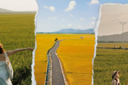 Du lịch - Cánh đồng An Nhứt - tọa độ “check-in” mới toanh cho Gen Z vui chơi cuối tuần