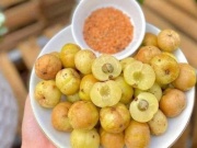 Thị trường - Tiêu dùng - Lạ kỳ loại quả từng để rụng bỏ đi nay thành đặc sản, chị em sẵn sàng chi cả 100.000 đồng/kg để thưởng thức