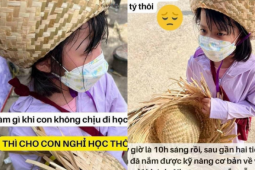 Bạn trẻ - Cuộc sống - Câu chuyện trị con lười đi học khiến ai cũng ngả mũ thán phục