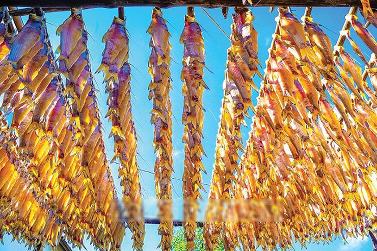 1kg cá lẹp tươi có giá khoảng 70.000 đồng/kg. Trong khi đó, 1kg cá lẹp khô có giá khoảng 150.000 đồng.
