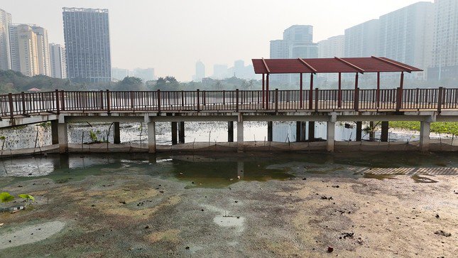 Sự hoang hóa đang diễn ra nhanh chóng sau nhiều năm bị bỏ hoang.