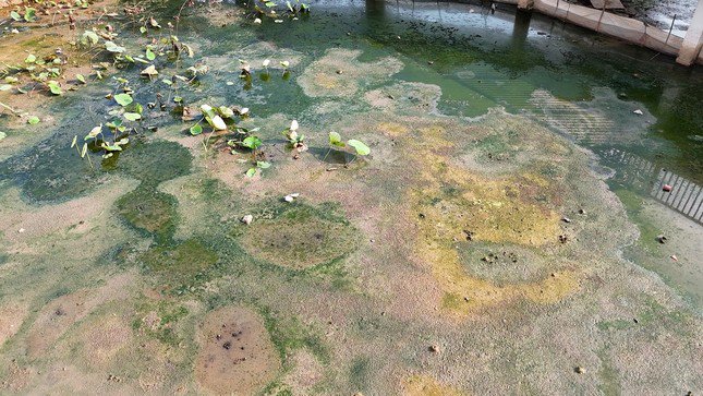 Cận cảnh công viên hồ điều hòa bỏ hoang 8 năm giữa Thủ đô - 13