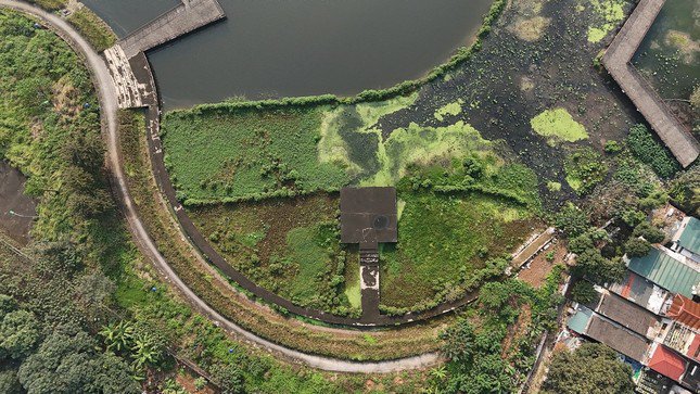 Một góc hồ ô nhiễm, cây và cỏ dại, bèo, rêu phủ kín mặt nước.