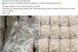 Thị trường - Tiêu dùng - Bất ngờ cá ngần sông Đà giá chỉ 89.000 đồng/kg, người bán nói gì?