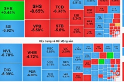 Kinh doanh - Chứng khoán lao dốc như đứt phanh, gần 160 mã giảm sàn