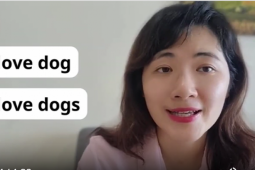 Giáo dục - du học - 'I love dogs' và 'I love dog' khác gì nhau?