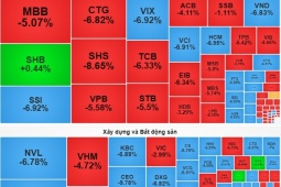 Những phiên thị trường chứng khoán Việt Nam giảm điểm như đứt phanh
