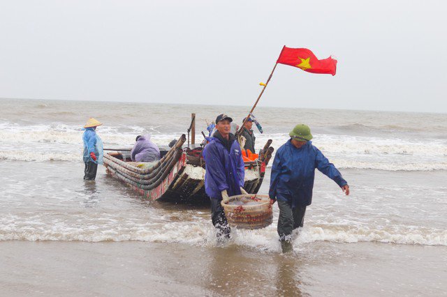 Thuyền, bè của ngư dân huyện Hoằng Hóa, tỉnh Thanh Hóa cập bến, trong khoang thuyền đầy ắp sứa biển