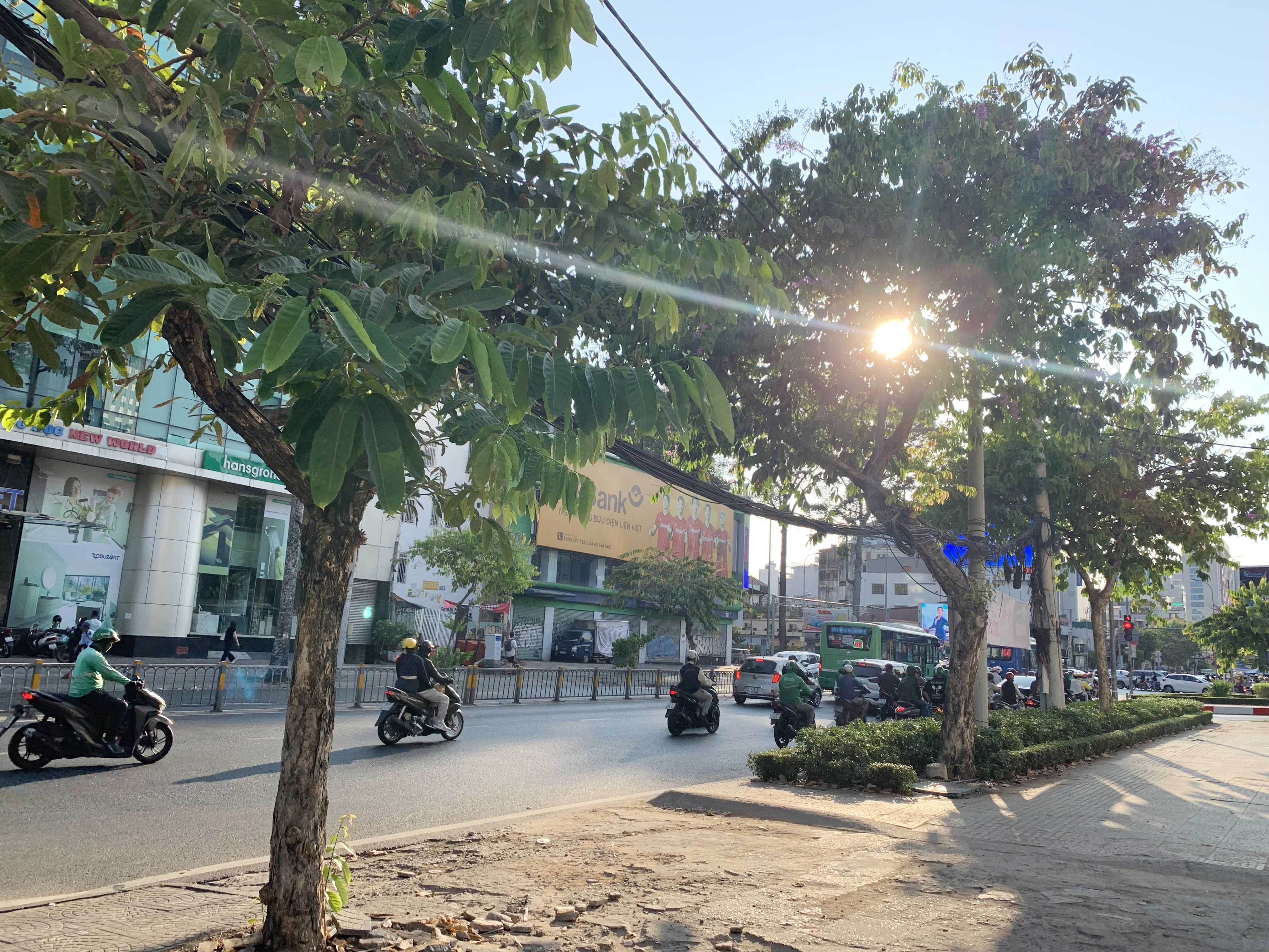 Việc di dời và đốn hạ hệ thống cây xanh dọc tuyến để làm Metro 2 có chi phí hơn 1,4 tỷ đồng.