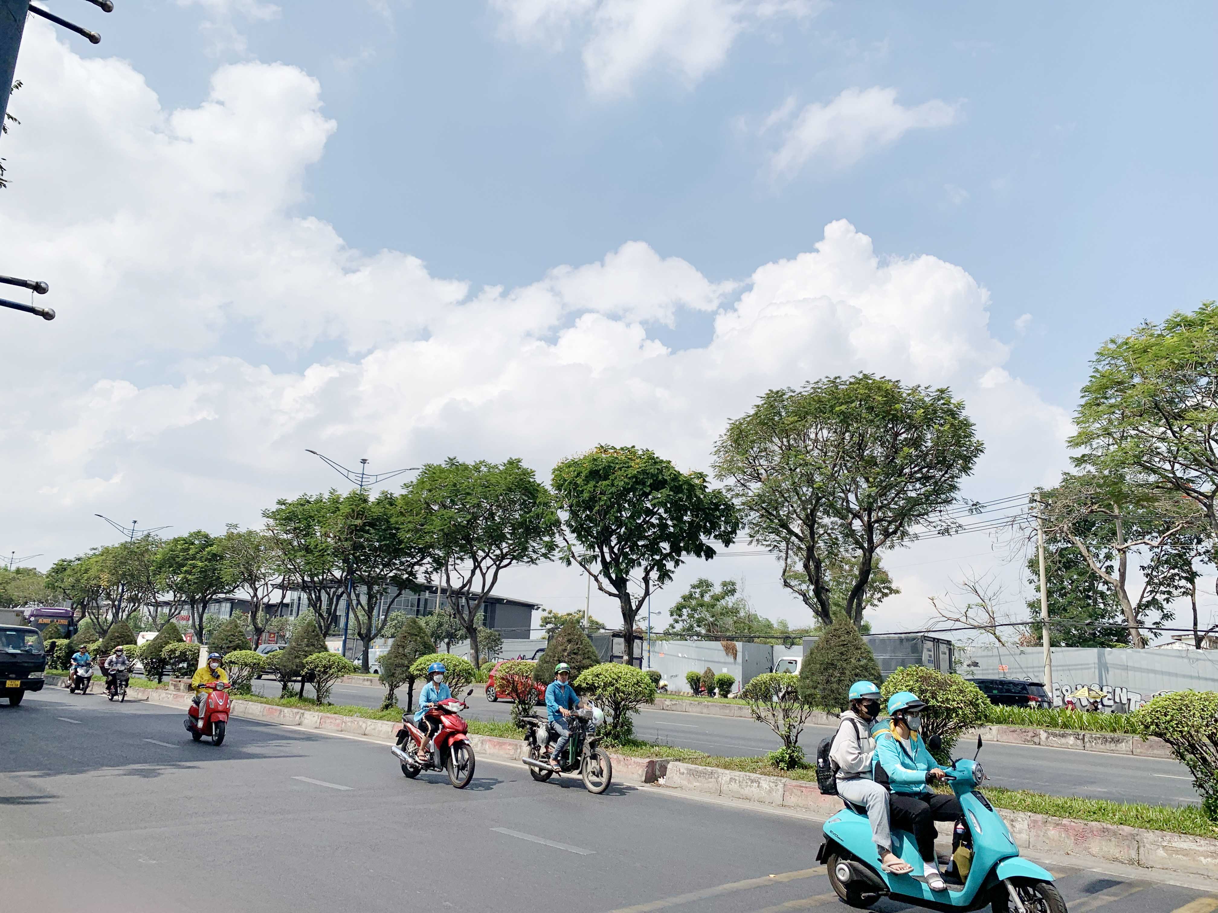 Ngoài ra, khu vực hàng cây trên dải phân cách ở giữa đường Trường Chinh (đoạn giáp quận Tân Bình và Tân Phú) cũng sẽ được đốn hạ, di dời.