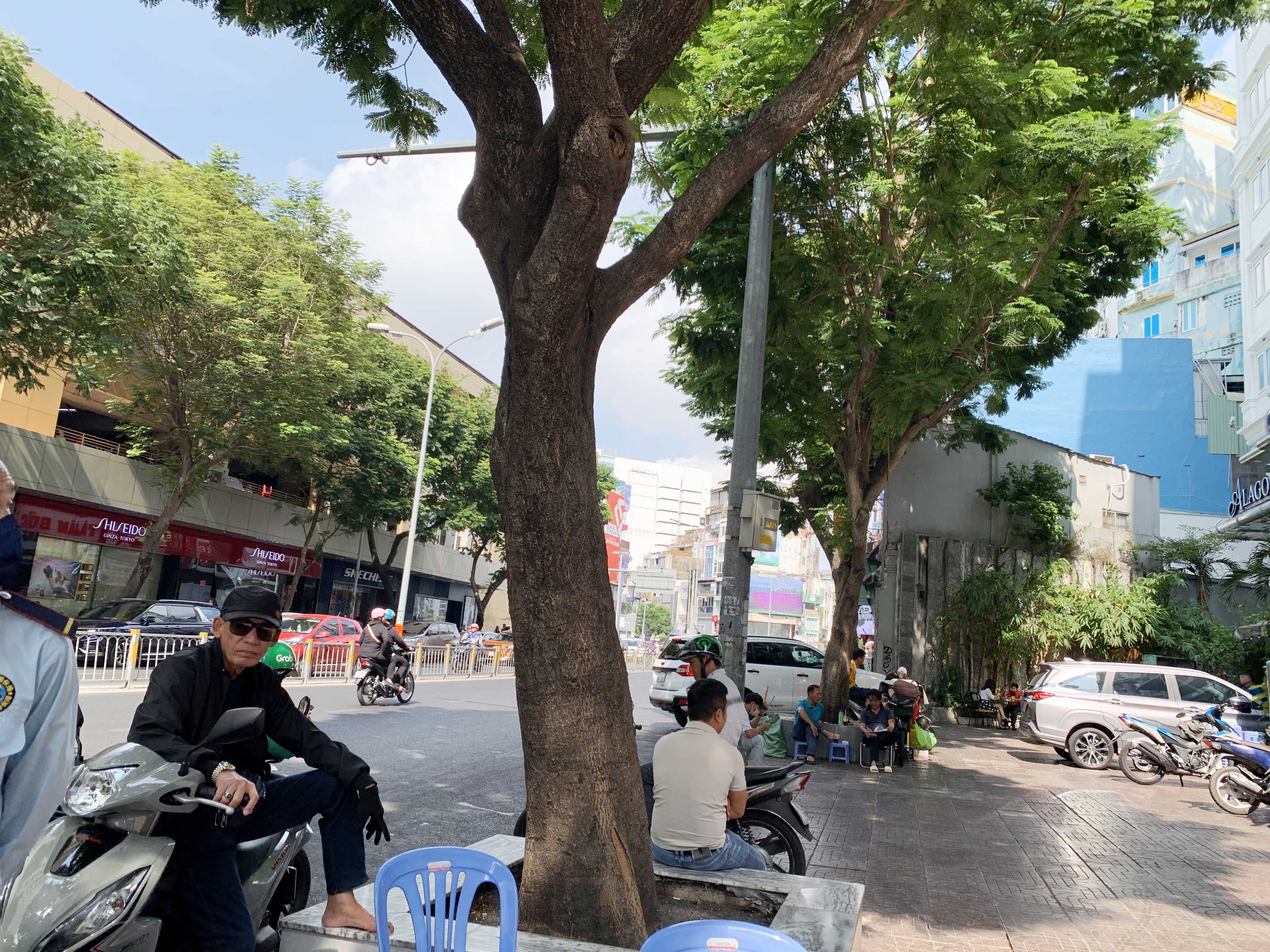 Người dân nghỉ mệt dưới các tán cây trên đường Phạm Hồng Thái