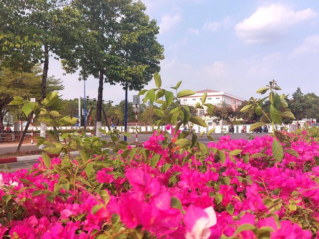 Đầu đường NA3 giao với đường Mỹ Phước Tân Vạn