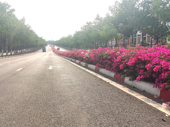 Tại tỉnh Bình Dương, có nhiều tuyến đường được trồng hoa giấy song đường NA3 tạo ấn tượng nhất không chỉ vì hoa trổ đều từ đầu đến cuối đường, mà tuyến đường này có những đoạn uốn lượn, vòng cua… tạo cảm giác thú vị cho người đi đường.