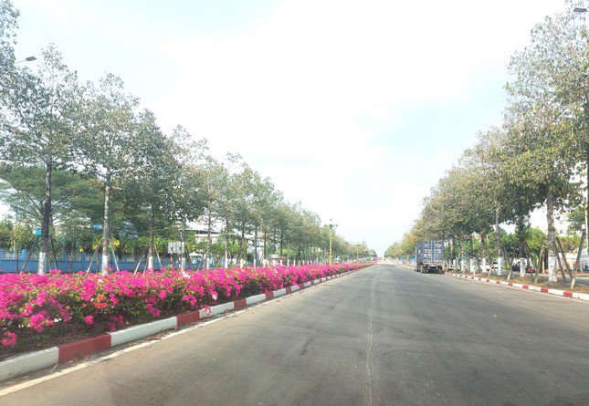 Hoa giấy tô điểm giúp tuyến đường trở nên lãng mạn giữa tiết trời nắng gắt