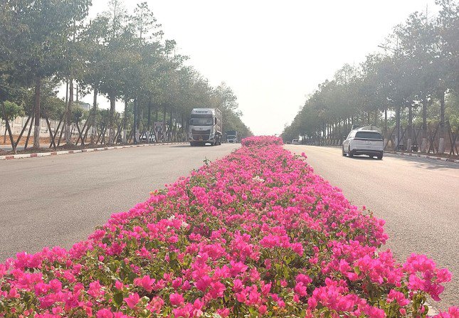 Nằm ở phía Bắc của tỉnh, thành phố Bến Cát có nhiều tuyến đường giao thông kết nối đi qua gồm quốc lộ 13, Vành đai 4 TPHCM, Mỹ Phước Tân Vạn, ĐT.741, ĐT.744, ĐT.748, ĐT.749…