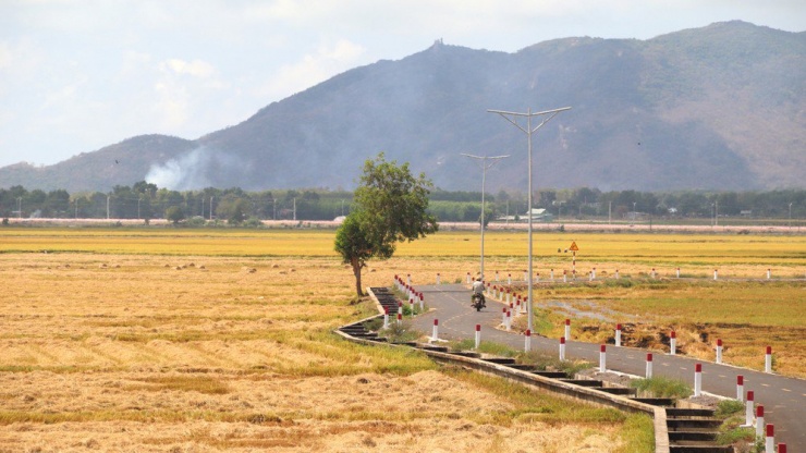 Xã thuần nông An Nhứt sẽ được sáp nhập với các xã Tam Phước, An Ngãi (huyện Long Điền) để thành xã Tam An (thuộc huyện Long Đất). Ảnh minh họa: TK