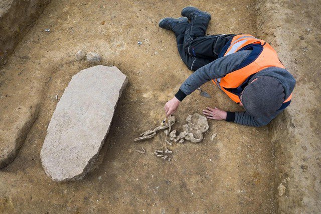 Một nhà khảo cổ đang khai quật "mộ zombie" ở Đức - Ảnh: Văn phòng Bảo tồn Di tích và Khảo cổ học bang Saxony-Anhalt