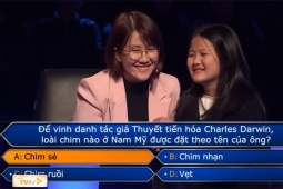 Ai là triệu phú 23/4: Hai người chơi thú vị thử tài chương trình kiến thức