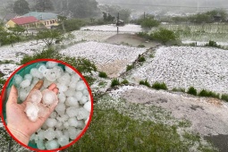 Tin tức trong ngày - Mưa đá lớn chưa từng có, phủ trắng núi đồi ở Sơn La