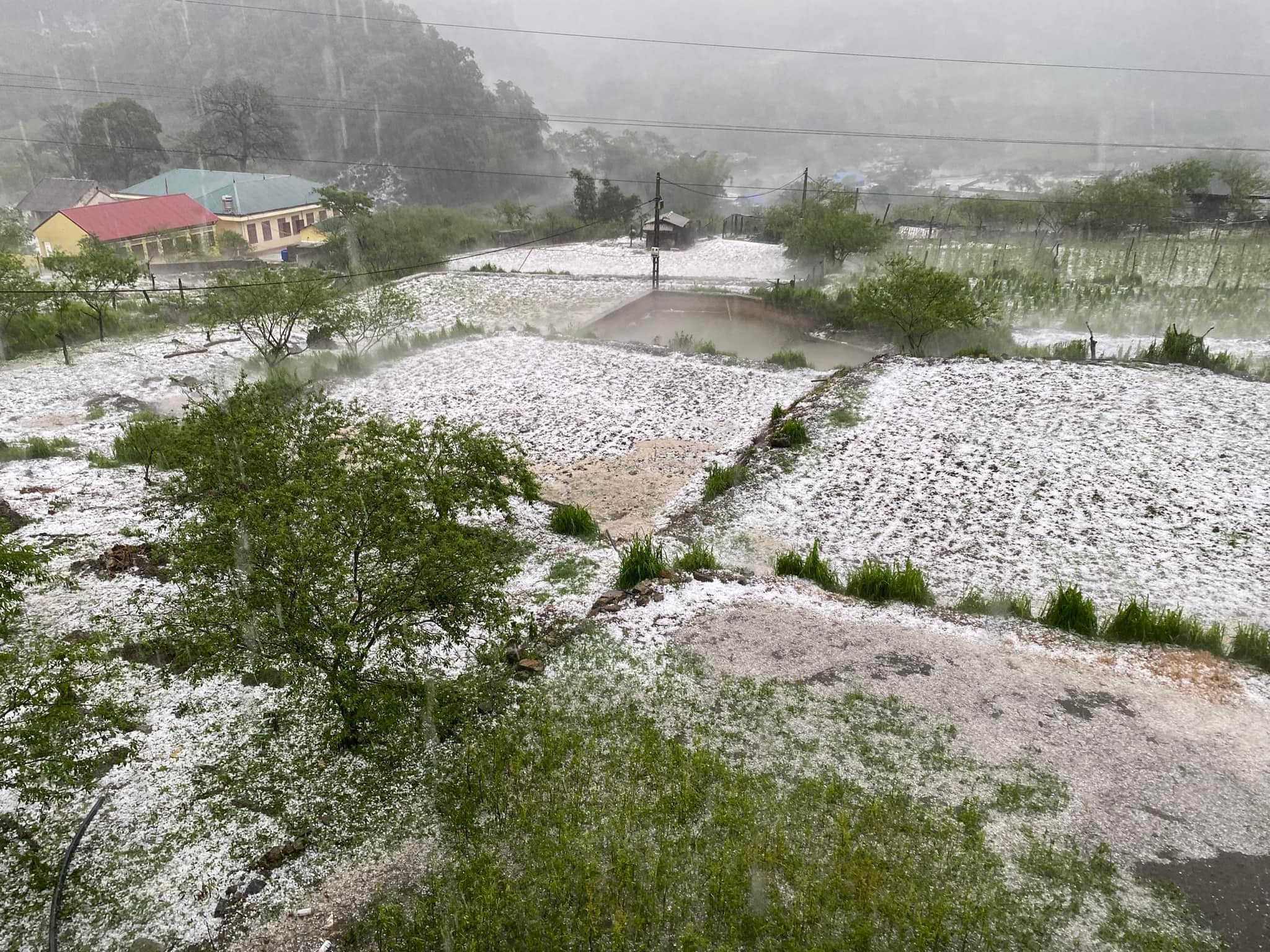 Khoảng 16h chiều nay (24/4), tại địa bàn huyện Vân Hồ (Sơn La) đã xảy ra một trận mưa đá đặc biệt lớn. Ảnh: Tin tức Sơn La