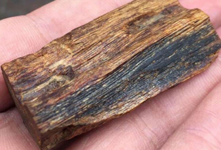 Kỳ nam là loại gỗ cực kỳ quý hiếm, không chỉ cho mùi hương khó tả, huyền bí mà còn có khả năng trị liệu.
