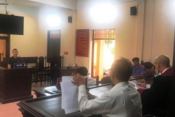 Mua bình rượu có ngâm rắn hổ mang chúa về trưng bày, chủ nhà hàng lĩnh án