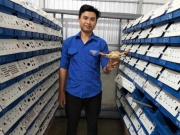 Thị trường - Tiêu dùng - Gác bằng kỹ sư về nuôi cua trong hộp nhựa, 9x “đút túi” 30 triệu đồng/tháng