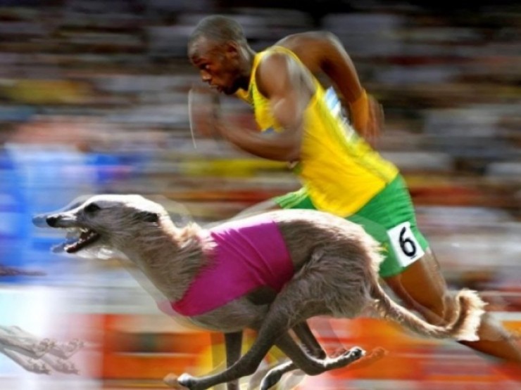 "Tia chớp" Bolt cho Mbappe "hít khói", đua với chó Greyhounds kết quả ra sao?