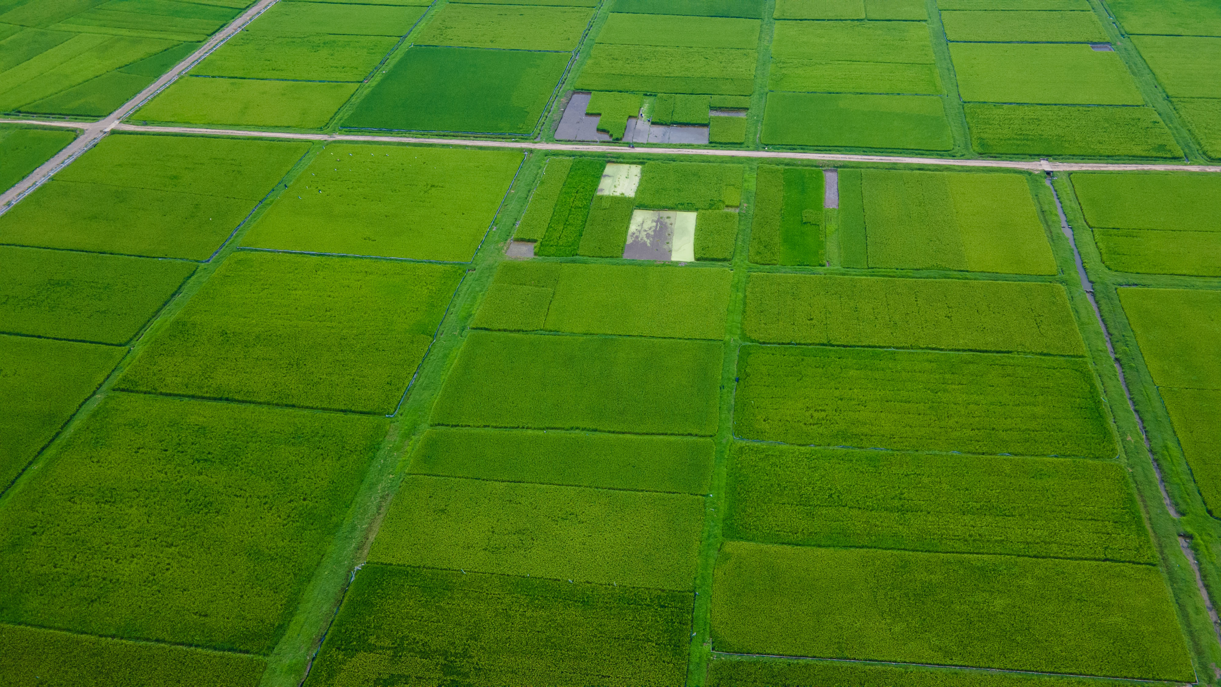 Cao tốc Diễn Châu - Bãi Vọt: Rút ngắn thời gian di chuyển từ Hà Nội đến Vinh