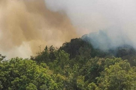 Hai kiểm lâm tử nạn khi chữa cháy rừng Tây Côn Lĩnh