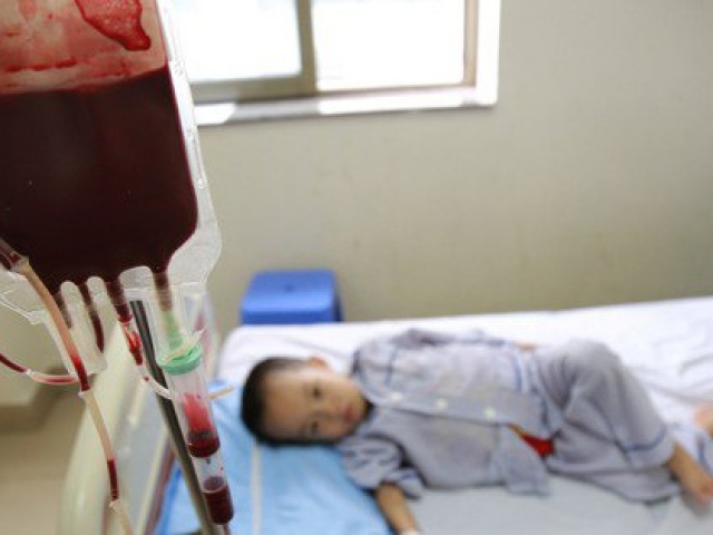 Bác sĩ chỉ cách tránh cho con bạn không bị bệnh tan máu bẩm sinh Thalassemia