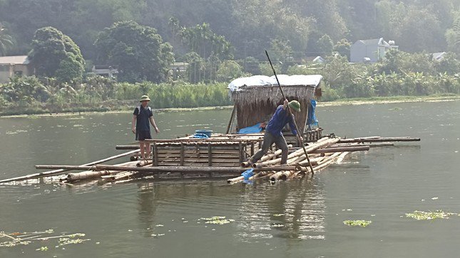 Cá chết hàng loạt trên sông Mã, người dân hoang mang