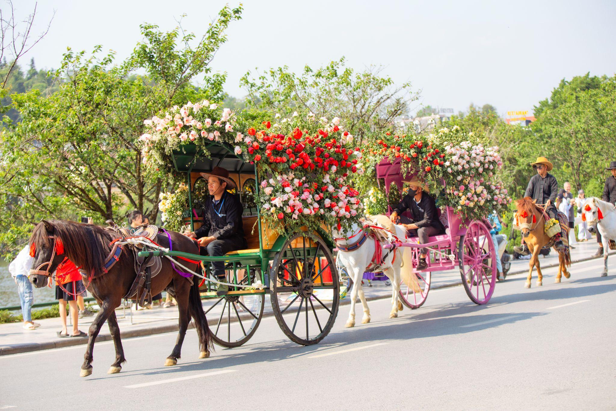 Sa Pa: Du khách mê mẩn check-in với hàng triệu đóa hồng trong Lễ hội ...