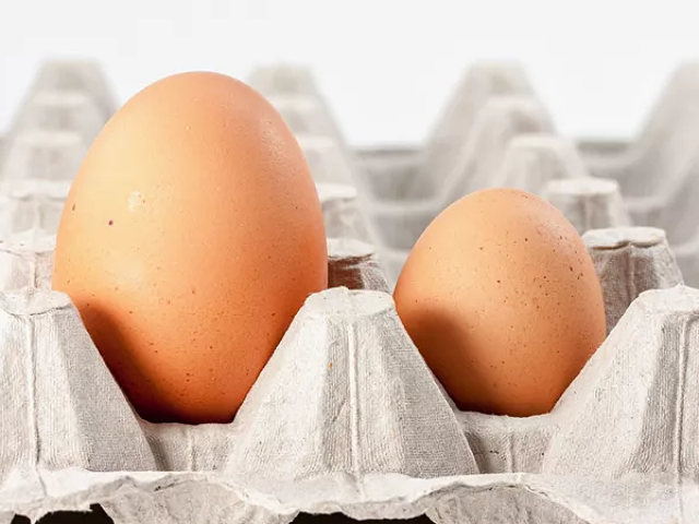 Nên chọn mua trứng gà quả to hay nhỏ?