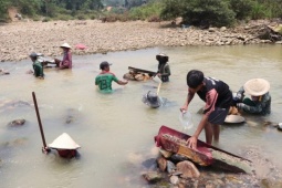 Tin tức trong ngày - Clip: Người dân Quảng Nam đổ xô xuống sông đãi cát tìm vàng