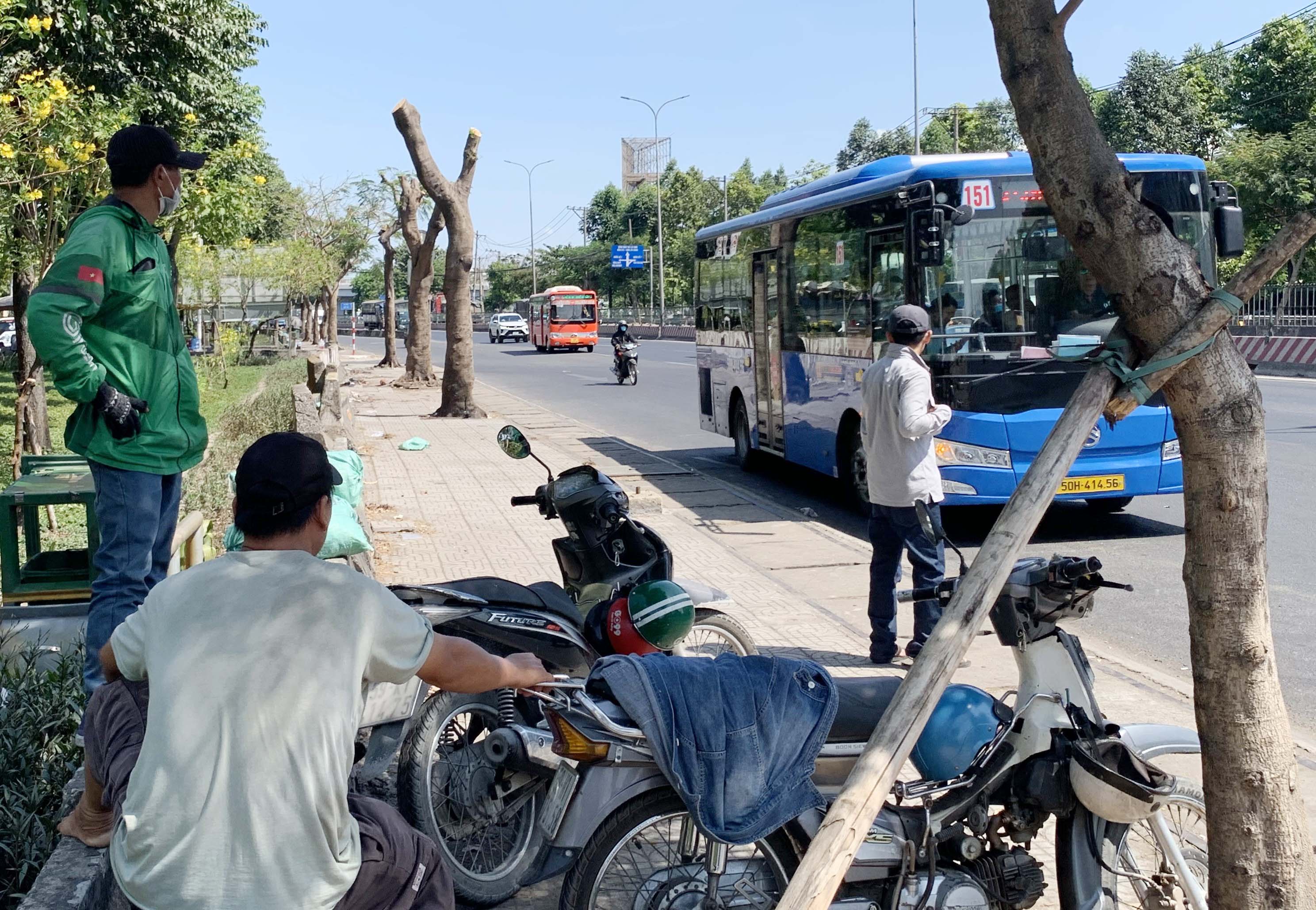 Tàn Phá Hàng Cây Xanh Giải Nhiệt Giữa Nắng Nóng Gay Gắt