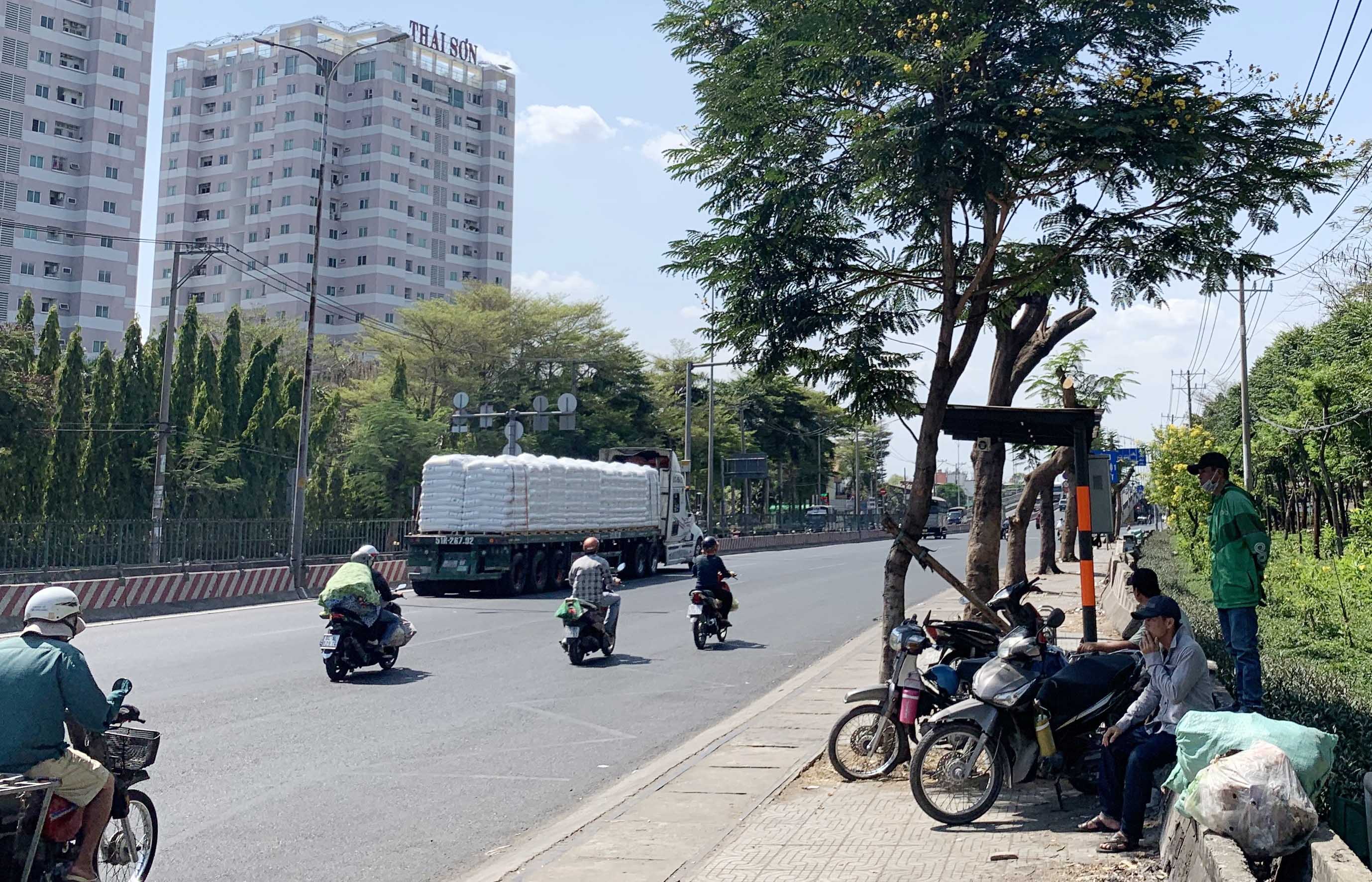 Tàn Phá Hàng Cây Xanh Giải Nhiệt Giữa Nắng Nóng Gay Gắt