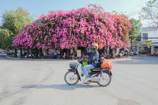 Mỗi cung
đường đều để lại cho Minh Huệ kỷ niệm đẹp