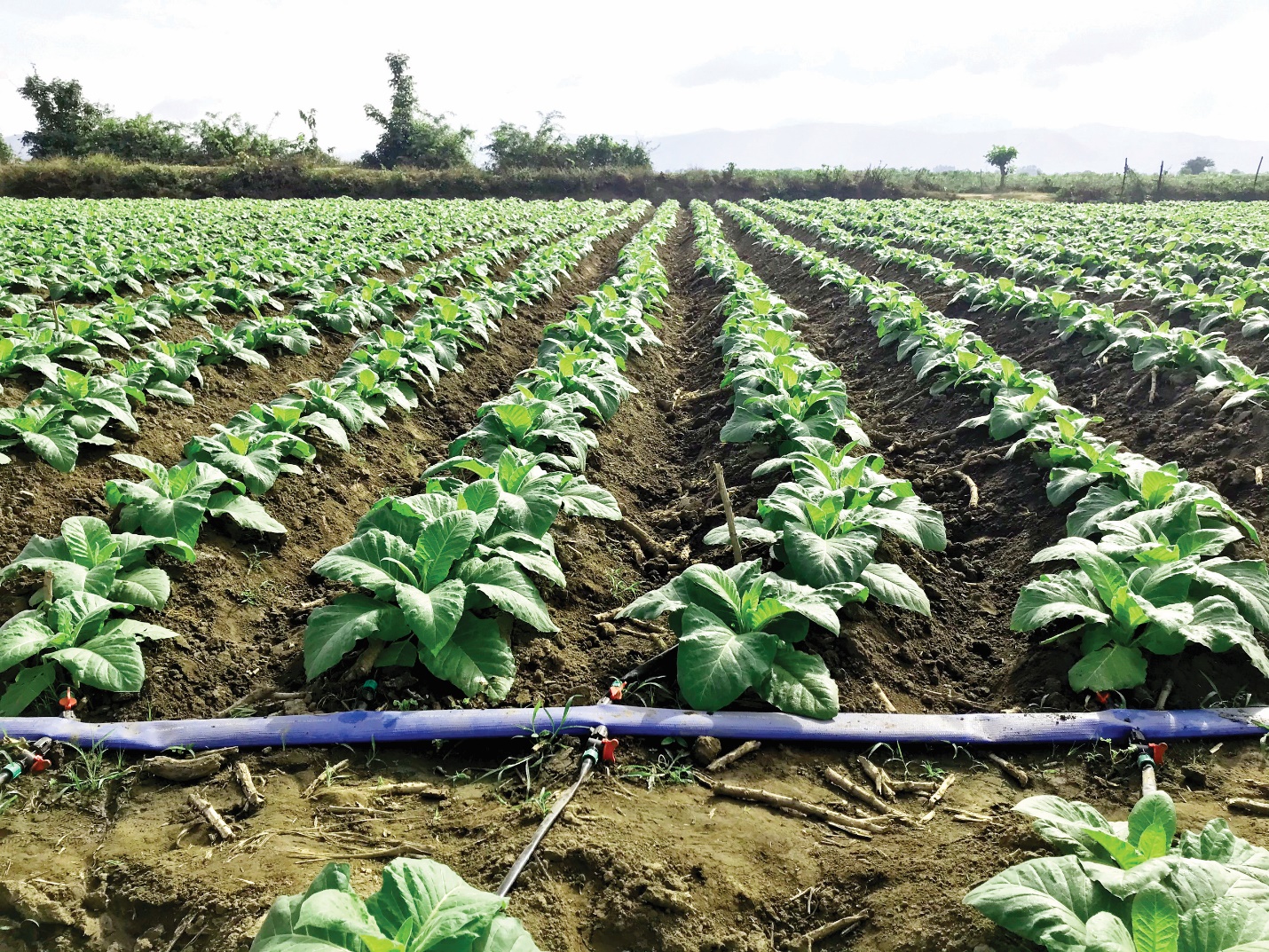 Quản lý nguồn nước trong vận hành doanh nghiệp - 6